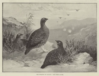 De Twaalfde Augustus, het Eerste Alarm